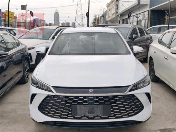 بي واي دي Qin Plus 2025 للبيع في العراق - اربيل